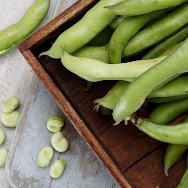 taze bakla hazırlanıyor