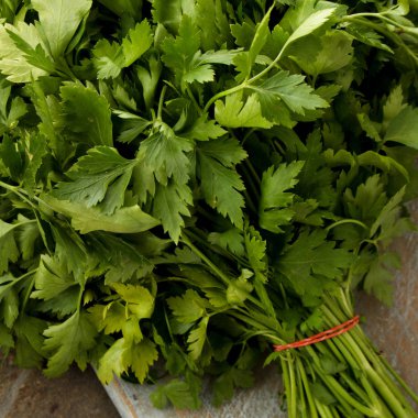 taze düz yaprak maydanoz hazırlanıyor