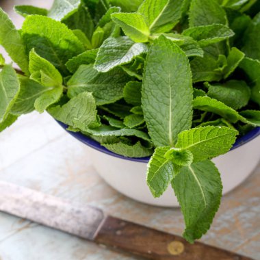 taze nane ot hazırlanıyor