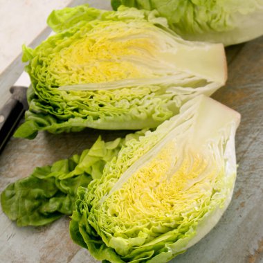 taze lezzetli salata yaprakları