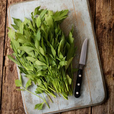 taze gevşek maydanoz hazırlanıyor