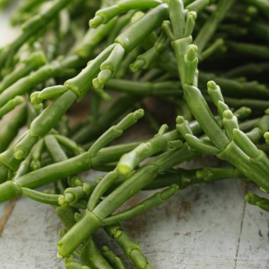 preparing fresh samphire on the table clipart