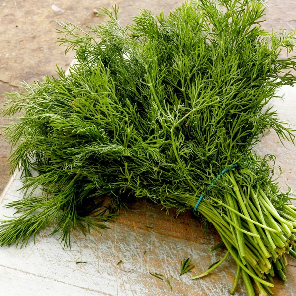 Fresh Dill Herb Bunch — Stock Photo, Image