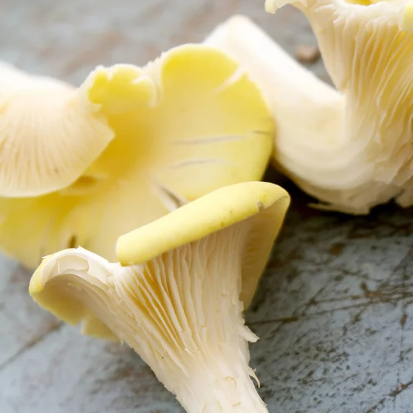 Frische Ungekochte Pilze Auf Dem Tisch — Stockfoto