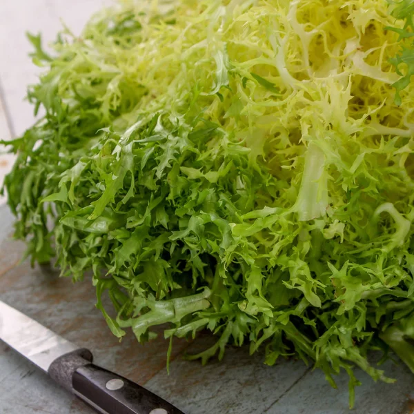 Hojas Ensalada Sabrosas Frescas —  Fotos de Stock