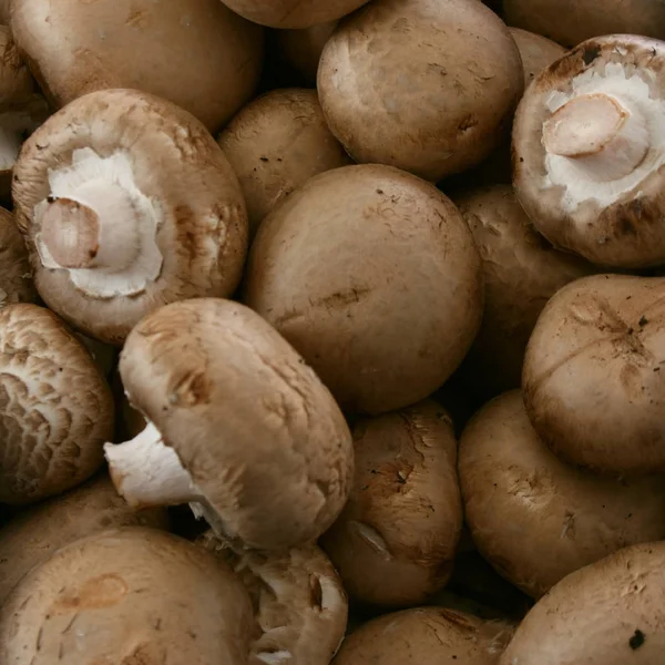 Preparing Fresh Uncooked Mushrooms — Stock Photo, Image