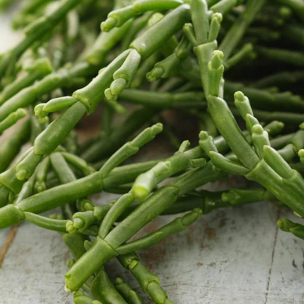 Förbereda Färska Samphire Bordet — Stockfoto