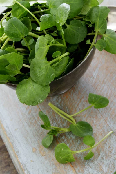 Folhas Salada Saborosas Frescas — Fotografia de Stock