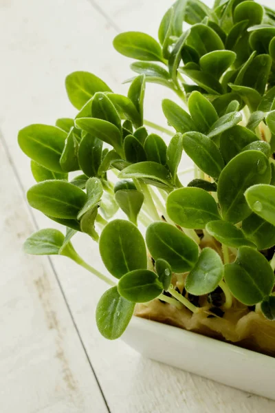 Frische Schmackhafte Salatblätter — Stockfoto