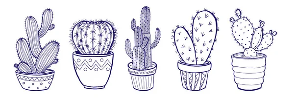 Pennanteckning Illustration Tecknad Cactuses Handritad Suckulent Isolerad Vit Bakgrund — Stock vektor