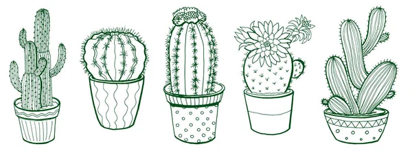 Pennanteckning Illustration Tecknad Cactuses Handritad Suckulent Isolerad Vit Bakgrund — Stock vektor