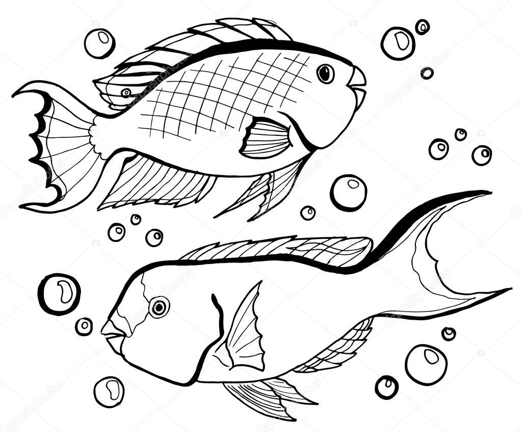 vector illustration black and white sea fish and bubbles