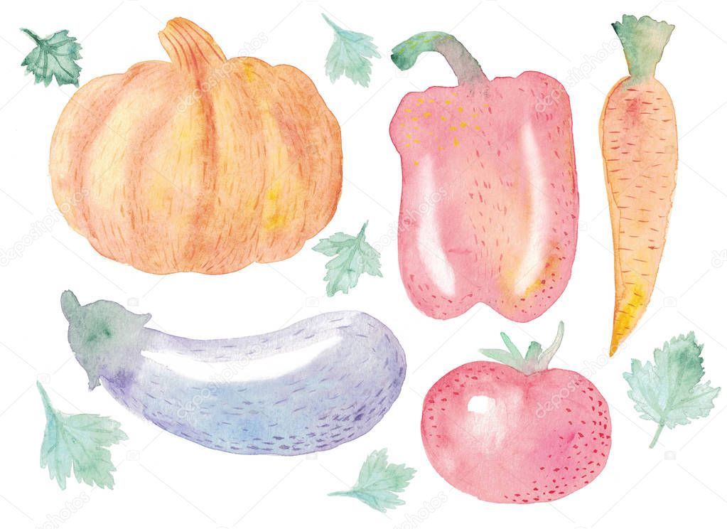 Watercolor Autumn Harvest Collection