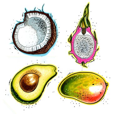 Beyaz arka planda izole edilmiş el yapımı tropikal meyve seti. Avokado, hindistan cevizi, pitahaya, mango. Tasarım için sevimli grafik illüstrasyonu.