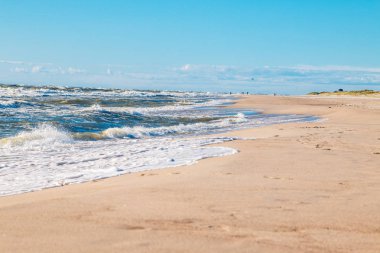 Yaz aylarında Baltık deniz kıyısı