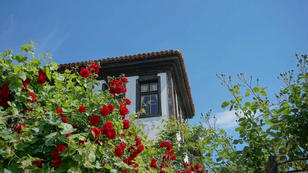 Traditionelles Altes Haus Mit Rosen — Stockfoto