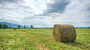 Dağ panoraması ile tarlada saman balyaları