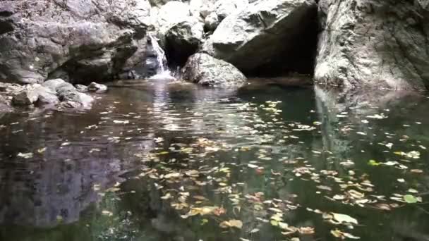 Air Terjun Kecil Dengan Daun Musim Gugur Dalam Air — Stok Video