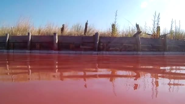 Lago Sal Burgas Bulgaria — Vídeos de Stock