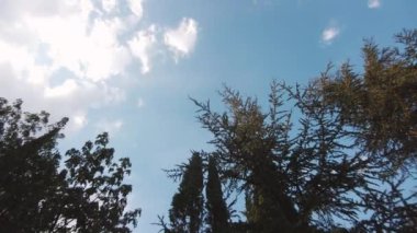 Bulutlu ağaçların tacı zaman ayarlı