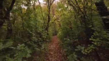 Ormanda son sürat yürüyoruz.