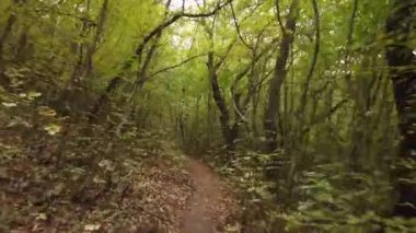 Ormanda son sürat yürüyoruz.