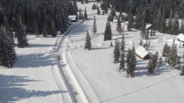 空中飞行 飞越高空的道路 导致高山酒店和滑雪胜地在田园诗般的云杉森林在下雪的高原 迷人的别墅在野生冬季仙境 美丽的洛基山脉背景 — 图库视频影像