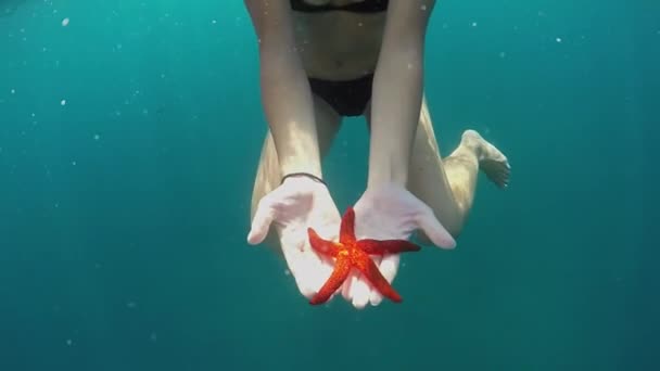 Slow Motion Närbild Underwater Oigenkännlig Vältränad Kvinna Bikini Simning Djupa — Stockvideo