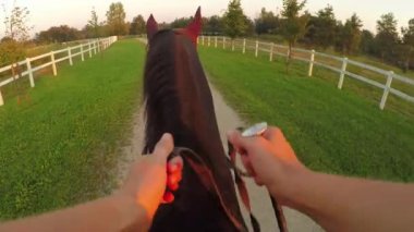 FPV, Close Up: güçlü koyu kahverengi aygır kumlu yolunda büyük eğlence parkı üzerinde günbatımında yürüyen genç bir kadın binici binicilik. Huzurlu sabah çarpıcı üzerinde rahatlatıcı at binmek doğada