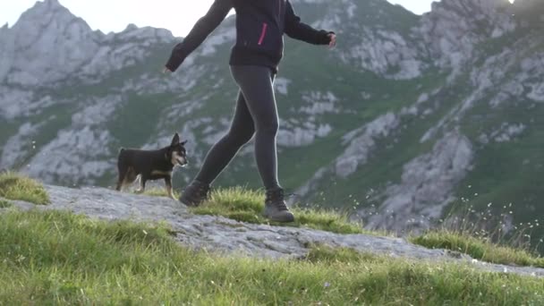 Slow Motion Närbild Glada Starka Kvinnliga Och Senior Hund Neråt — Stockvideo