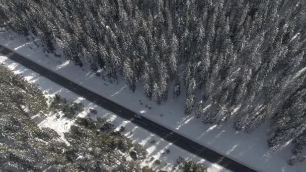 Полет Над Бирюзовым Автомобилем Снежной Дороге Ведущей Через Густой Вечнозеленый — стоковое видео
