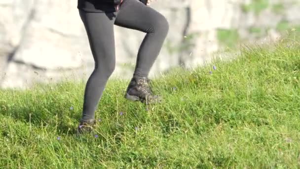 慢动作 在欧洲阿尔卑斯山上的强大的女性登山 漫步在美丽的阳光夏日的背景上陡峭的墙壁上的岩石山坡上的开花草甸场 — 图库视频影像