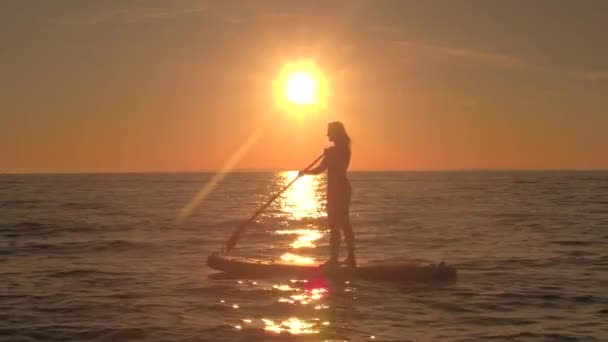 スローモーションをクローズ アップ 美少女インフレータブル Sup の上に立って ゆっくりとパドリング 魔法の海辺の観察 素晴らしい黄金の夕日でリラックスした休暇を楽しみます 水を介して女性 Paddleboarding — ストック動画