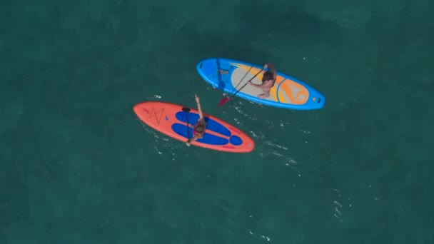 Fechar Aerial Namoradas Ativas Pranchas Remo Stand Dup Remando Paralelas — Vídeo de Stock