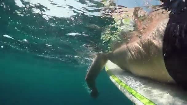 半水中をクローズ アップ スローモーション 若者は透き通った海でサーフボードにパドリング 位置を自分自身の行を驚くほど青い海に晴れた海辺での夏の休暇に男性サーファー — ストック動画