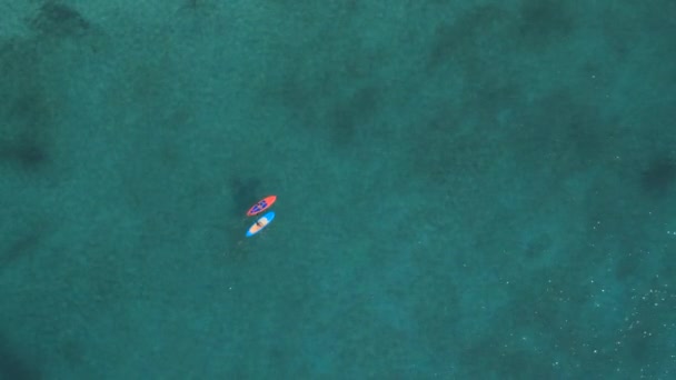 Aerial Volando Por Encima Niñas Remando Tablas Sup Hermoso Océano — Vídeos de Stock