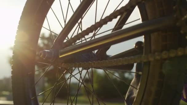 夏の夜の糸車のバイカー Bmx バイク機器のスローモーション被写し界深度を極端なクローズ 太陽輝いている Bmx 自転車ホイールとチェーン ライダーに乗って離れて日当たりの良い公園の通り — ストック動画