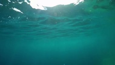 Slow Motion Close Up Underwater: Muhteşem güneşli yaz gününde camsı deniz yüzeyinde parlayan yumuşak yaz güneşi. Güneş ışınları suda yüzen küçük planktonu aydınlatan kristal berraklığında okyanus nüfuz