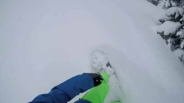 第一人称特写 雪山上的滑雪板骑着新鲜的粉雪 随心所欲滑雪板滑雪在高山滑雪胜地的完美粉雪野外 — 图库视频影像