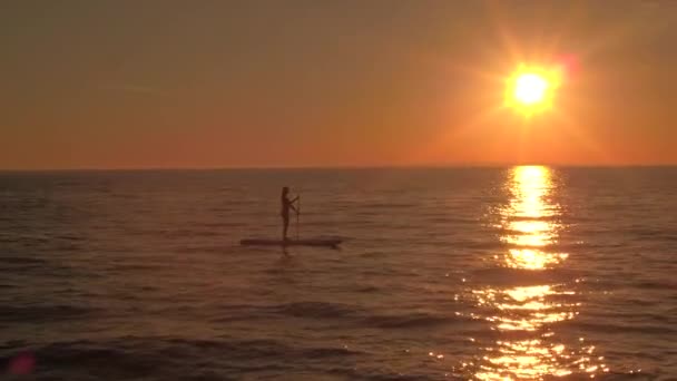 가까이 Paddleboard 천천히 마법의 해변을 즐기는 일몰에 표면에 — 비디오