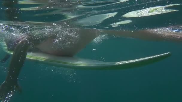 SLOW MOTION HALF UNDERWATER : Jeune homme pagayant sur une planche de surf en haute mer. Joyeux surfeur masculin souriant et pagayant pour faire la queue dans une mer bleue cristalline pendant les vacances d'été au bord de la mer 