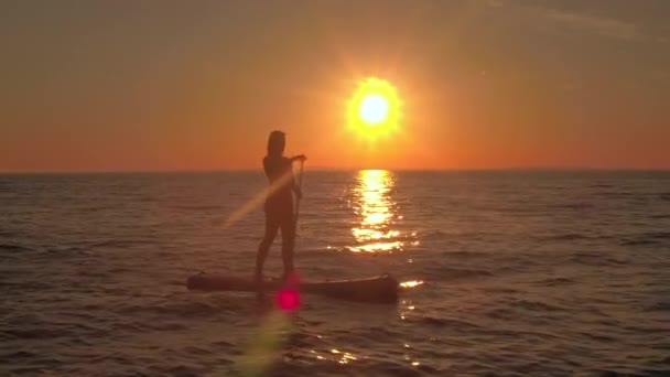 Distancing 間近で航空 魔法の黄金の夕日でアクティブな休暇を楽しんでインフレータブル Paddleboard に乗って陽気な女の子ライダーの上を飛んでください 波打つ海の表面に反映して太陽の光 — ストック動画