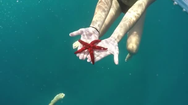 Slow Motion Närbild Underwater Oigenkännlig Kvinna Bikini Simning Djupa Blå — Stockvideo