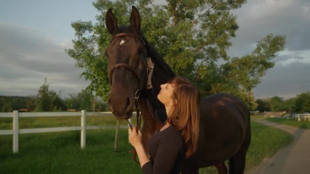 スローモーションをクローズ アップ 美しい女性ライダー Caressing 見事な嵐の前に晴れた朝に大きな強力な茶色の馬 彼女の夏の乗馬自然で休暇を楽しむ美少女 — ストック動画