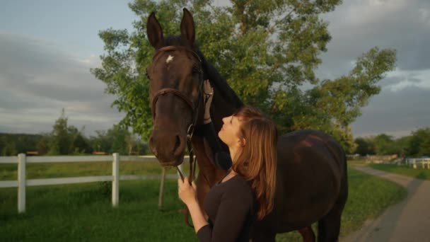 Moción Lenta Cerrar Hermosa Jinete Hembra Acariciando Gran Poderoso Caballo — Vídeos de Stock