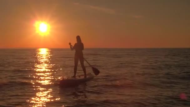 クローズ アップ インフレータブル Paddleboard に乗って 魔法の海辺を楽しんで 見事な黄金の夕日でアクティブな休暇をリラックスしたかわいい女の子の上を飛んでください 海の表面に反映して太陽の光 — ストック動画