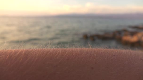 Macro Dof Joven Mujer Caucásica Pie Cerca Hermosa Playa Rocosa — Vídeos de Stock