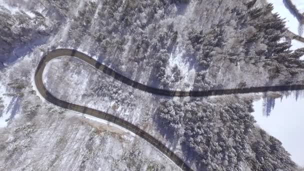 Aereo Volare Alto Sopra Strada Serpentina Circondata Vasti Boschi Innevati — Video Stock