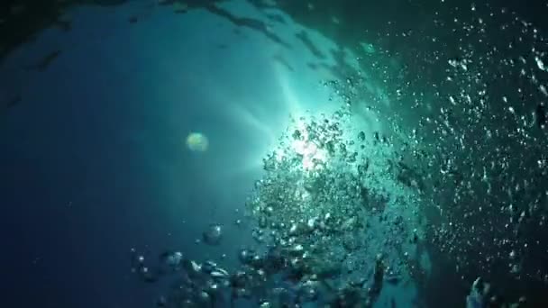 Unterwasser Makro Zeitlupe Zahlreiche Kleine Luftblasen Die Wunderschönen Türkisfarbenen Tropischen — Stockvideo