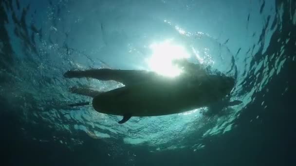 Zeitlupe Unter Wasser Junger Mann Paddelt Auf Surfbrett Offenen Ozean — Stockvideo